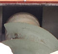 Schnecke